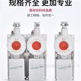 DLXK-DYT-S-D防爆腳踏開關（單雙踏）